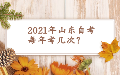2021年山东自考每年考几次?